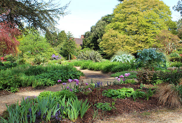 Park garden, with herbaceous flower border and copper beech tree Photo showing a large garden within a park, with a well-planted herbaceous border containing flowers,herbs, ornamental vegetables (including globe artichokes), grasses, day lilies (daylily / hemerocallis) and tulip bulbs.  In the background is a line of mature trees, including common European beech (Latin name: fagus sylvatica), copper beech (Latin name: fagus sylvatica purpurea) and cedar of Lebanon (Latin name: cedrus libani). artichoke vegetable garden gardening english culture stock pictures, royalty-free photos & images