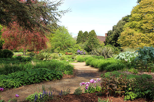 istock Park garden, with herbaceous flower border and copper beech tree 489044757