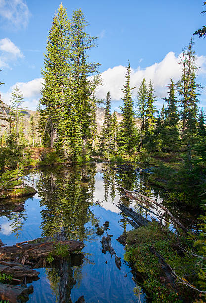 istock North Cascades National Park - September 2011 489045141