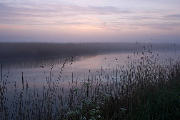 Dawn mist on the Alde The purple haze of a dawn mist over the River Alde at Snape, in the Suffolk Coast & Heaths Area of Outstanding Natural Beauty (AONB). Captured on a May morning, the mist is seen hovering over the Snape Marshes nature reserve. suffolk england stock pictures, royalty-free photos & images