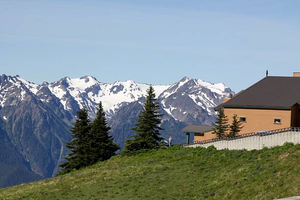 istock Classic View Of The Olympic Mountains From Hurricane Ridge 489076300