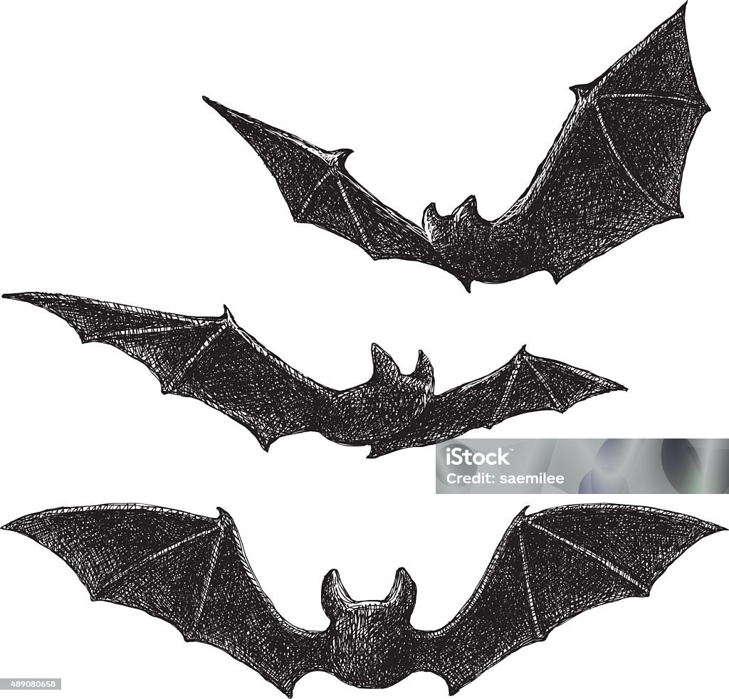 Ilustración de Dibujo De Murciélagos y más Vectores Libres de Derechos de  Murciélago - Murciélago, Volar, Halloween - iStock