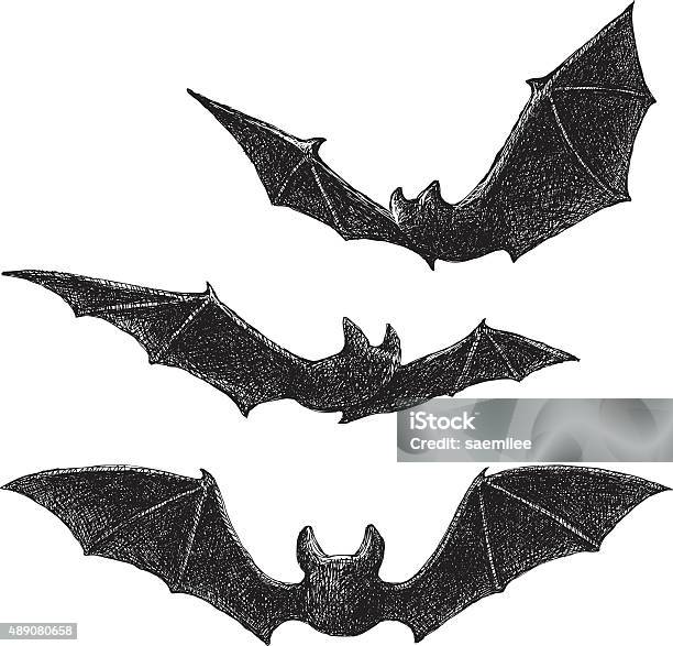 Bats Drawing Stock Illustration - Download Image Now - Bat - Animal, Vampire, Flying