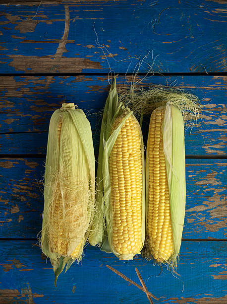 Raw corn stock photo