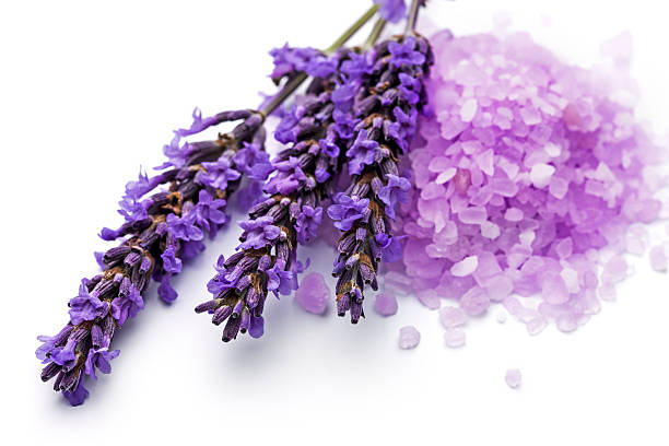 istock Lavender flowers and spa salt 489083124