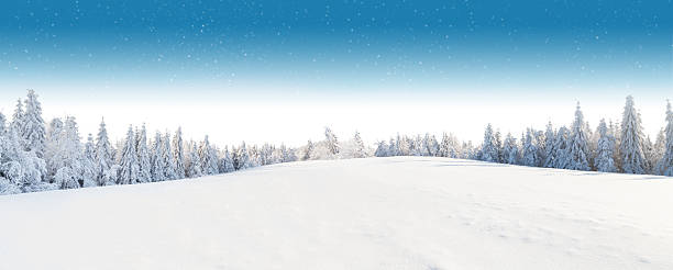 Winter snowy landscape Winter snowy forest with meadow and blue sky snow landscape stock pictures, royalty-free photos & images