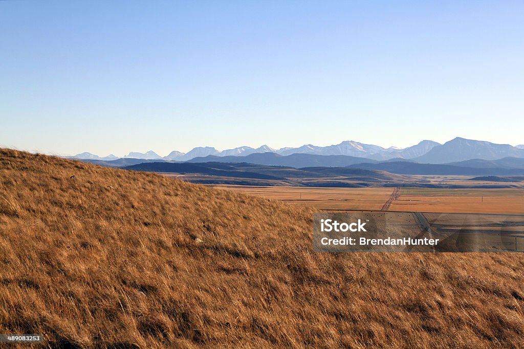 Golden Alberta A southern Alberta road.  Rocky Mountains - North America Stock Photo