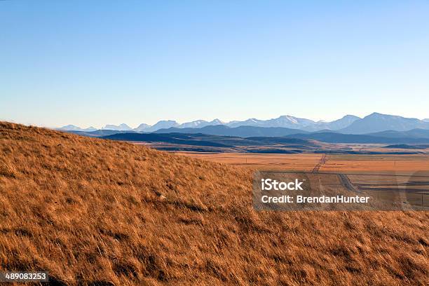 Golden Alberta Stock Photo - Download Image Now - Rocky Mountains - North America, Alberta, Agricultural Field