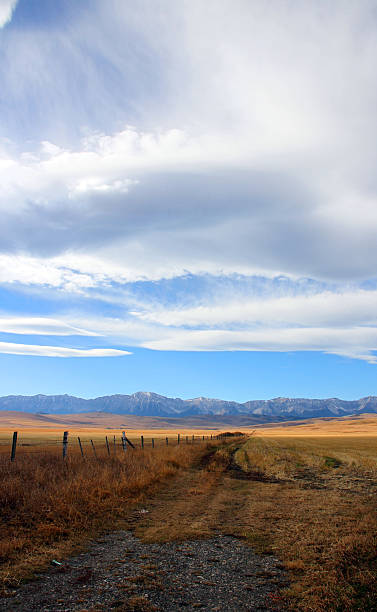 nuvens, montanhas e prairie - alberta prairie farm fence - fotografias e filmes do acervo