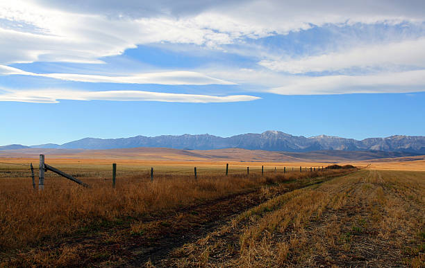 edge of the wild - alberta prairie autumn field стоковые фото и изображения