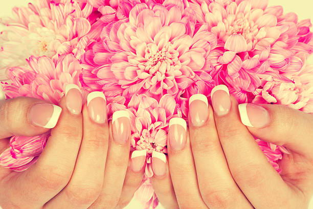 istock Female hands with perfect french manicure 489085526