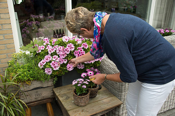 istock woman removing old flowers 489086121