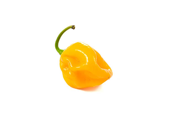 istock Yellow orange habanero 489086526