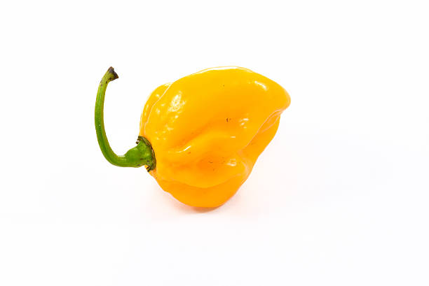 istock Yellow orange habanero 489086530