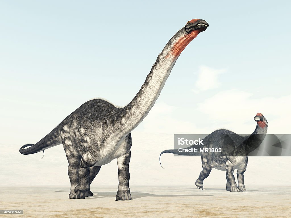 Dinosaur Apatosaurus - Foto de stock de Animal royalty-free