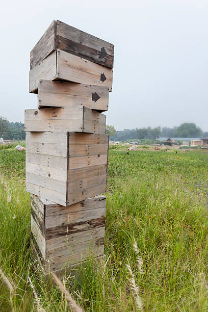 istock Signs,wooden box 489111858
