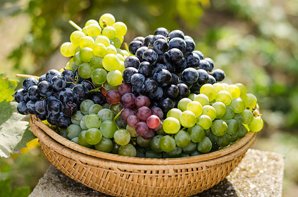 bunch of white, blue and purple grapes in basket