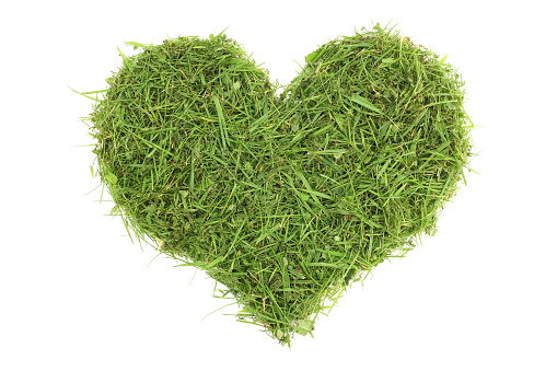 Grass clippings in a heart shape, isolated on a white background