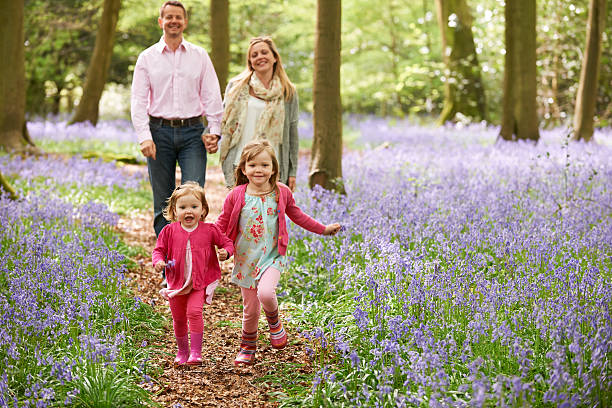Mother and cute little danish girl with blond hair having fun outdoors in spring when forest blooms with anemone flowers
