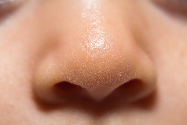 istock Baby nose up close 489118834