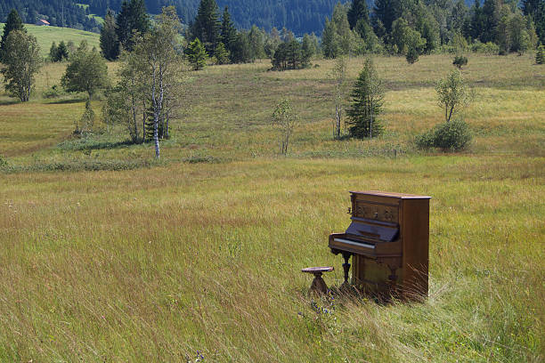 istock music in swampland 489119980