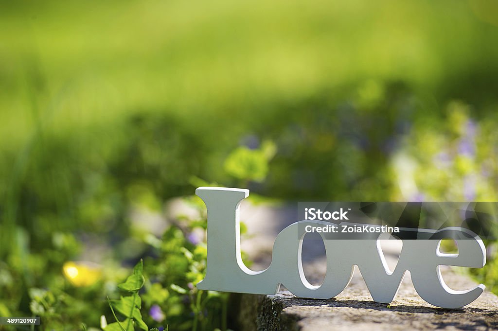 Love word on the spring fresh grass Love decoration letters outdoors on the spring lawn Art And Craft Stock Photo