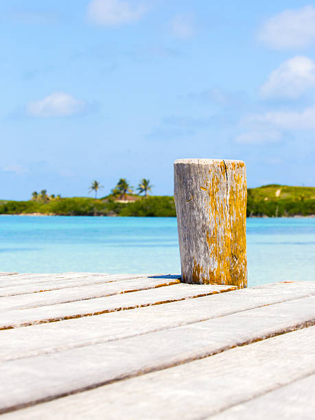 istock Wooden pier on tropical island 489120921