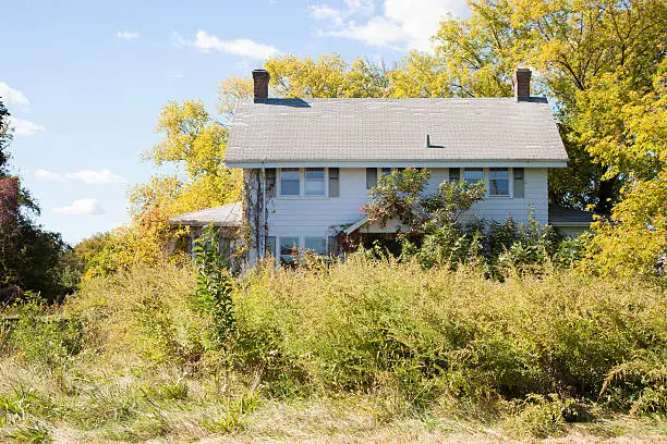 A colonial style house is overgrown with weeds and shrubs; looks to be abandoned