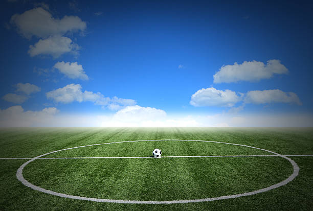 istock Soccer green grass field with blue sky white clouds background 489121847