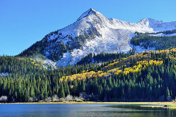 istock yellow and green aspen and snow covered mountains 489122584
