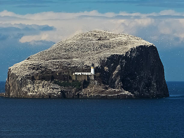Bass Rock and Lighthouse stock photo