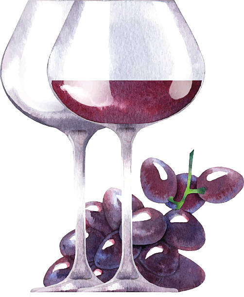 ilustrações de stock, clip art, desenhos animados e ícones de vetor de esboço em aquarela de vinho e uvas. - food and drink fruit cartoon illustration and painting