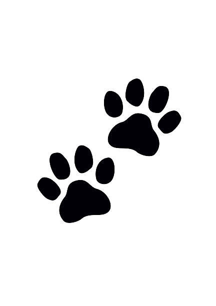 ilustraciones, imágenes clip art, dibujos animados e iconos de stock de negro pata impresiones. ilustración vectorial. - paw print animal track dirt track