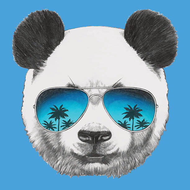 Portrait of Panda with mirror sunglasses. Hand drawn portrait of Panda with mirror sunglasses. Vector isolated elements mirror object drawings stock illustrations