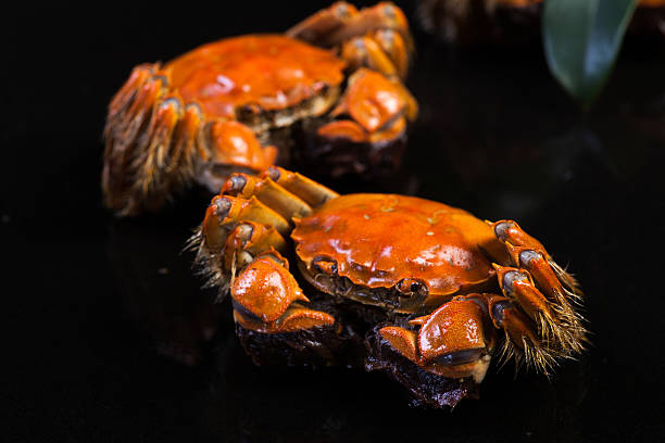 Chinese crab stock photo