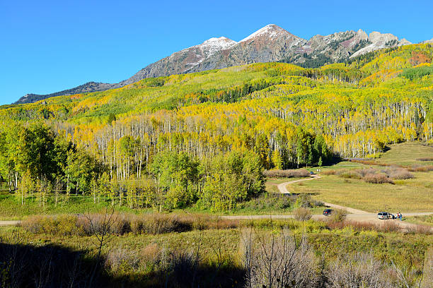 istock yellow and green aspen and snow covered mountains 489139044
