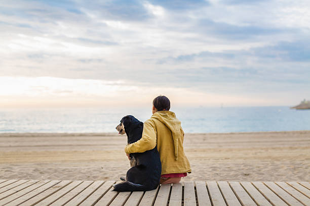 Woman hugging her dog woman with her dog admire the horizon sea dog beach stock pictures, royalty-free photos & images