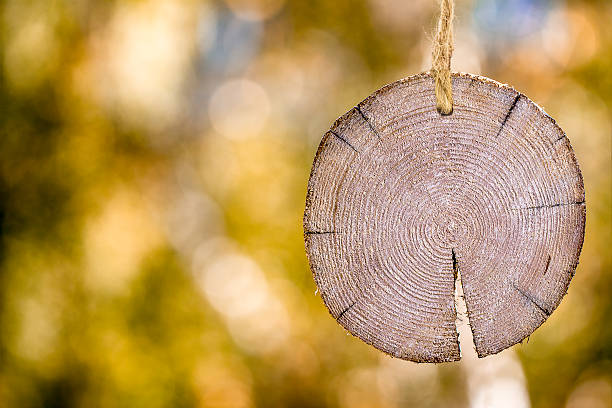Wooden signboard on a rope. Copy space
