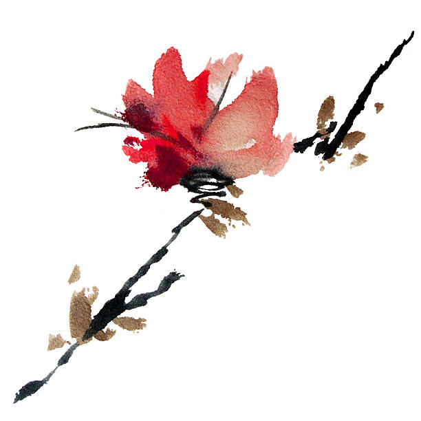 illustrazioni stock, clip art, cartoni animati e icone di tendenza di sakura albero - blossom growth single flower cherry blossom