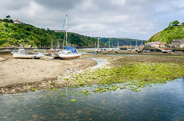 istock Harbour at Low Tide along the Coast of Wales 489141882