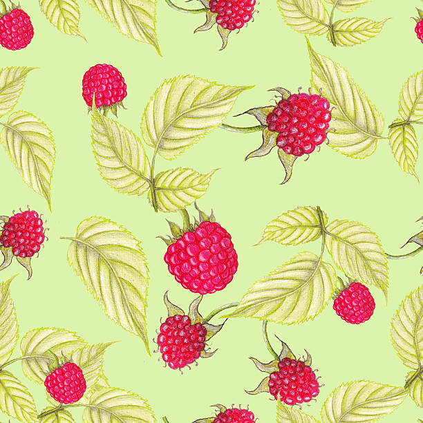 Raspberry Ripening Pattern Chart 50+ Fruit Production Ripening Room Stock Illustrations, Royalty-Free ...