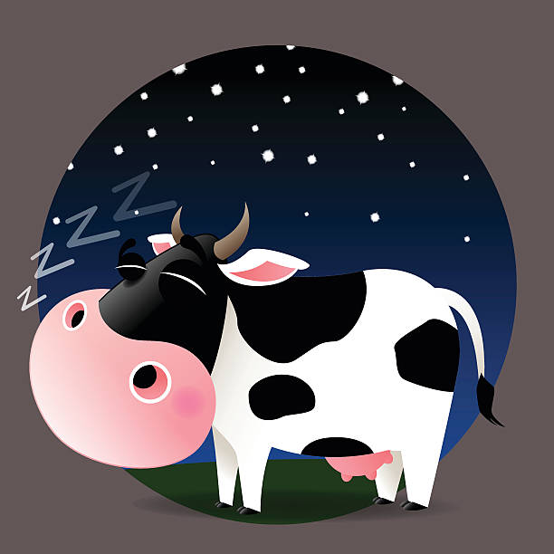 sleeping-cow Cow standing and sleeping sleeping cow stock illustrations