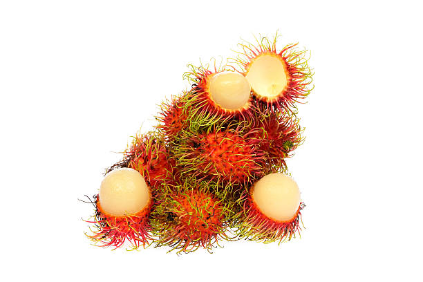 Fresh rambutan with rambutan stag