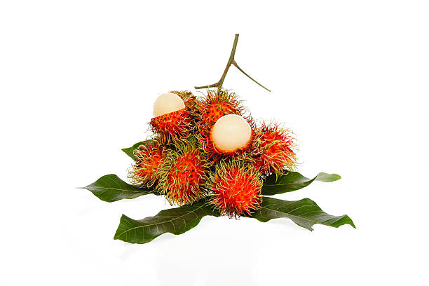 Fresh rambutan with rambutan stag