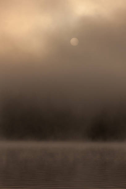 istock Morning sun through fog at lake 489145902
