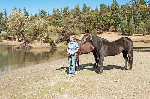 This very special view is the proud owner with her two girls the Mom and Daughter Horses by a local small lake, they are actually watching some geese in the water. On this close to the last day of summer they are enjoying the views.