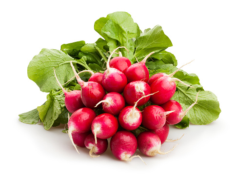 radishes isolated