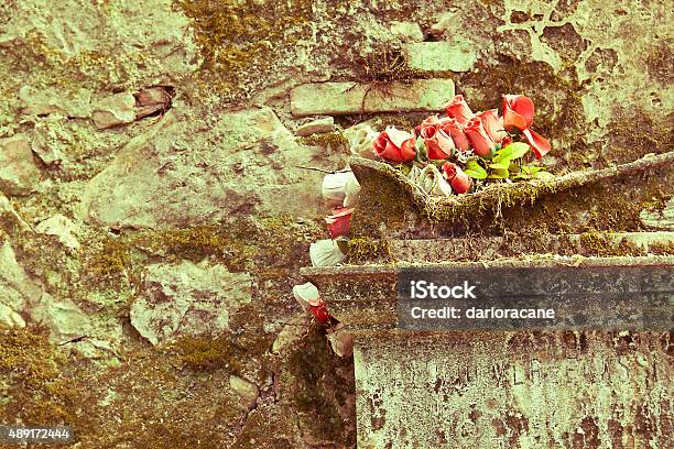 Roses On The Old Tomb Stock Photo - Download Image Now - 2015, Artificial, Backgrounds