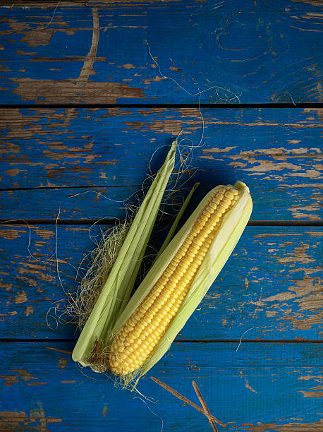 Raw corn stock photo