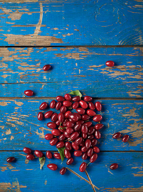 Cornelian or dogberry stock photo